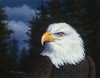 The Face Of Freedom Fine Art Print