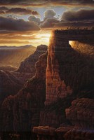 The Light Of Life Fine Art Print