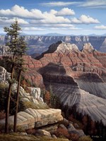 A Time For Peace Fine Art Print