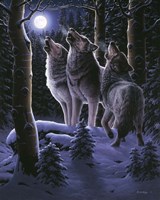 Midnight Clear Fine Art Print