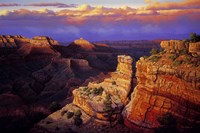 Symphony Fine Art Print