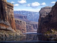 Nature's Way Fine Art Print