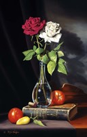 Message In A Bottle Fine Art Print