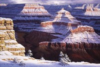 Dream Catchers Fine Art Print