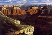 Golden Age Fine Art Print