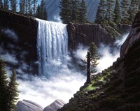 Vernal Falls Fine Art Print