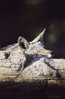 Z-Z-Z-Z-Z-Z Fine Art Print