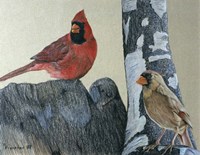 Two Cardinals Fine Art Print
