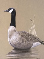 Lone Goose Fine Art Print