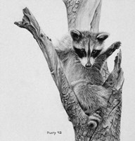 Bandit Fine Art Print