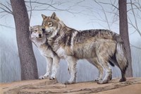Two Wolves Fine Art Print