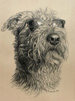 Dog One Fine Art Print