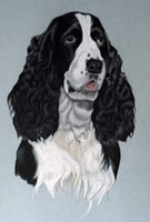 Dog Three Fine Art Print