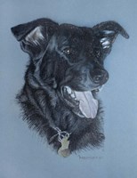 Dog  Four Fine Art Print