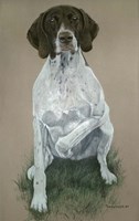 Dog  Five Fine Art Print