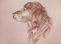 Dog Eight Fine Art Print
