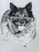 Dog Ten Fine Art Print