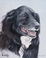 Dog  Fourteen Fine Art Print