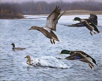 Spring Arrivals Fine Art Print