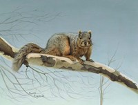 Are You Nuts Fine Art Print