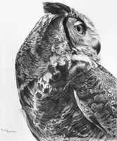 A-Gu-Ku Fine Art Print