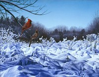 After The Storm Fine Art Print