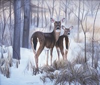 Hindsight Fine Art Print