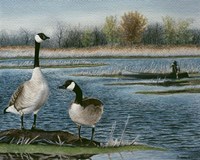 Gander Study Fine Art Print