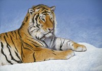 Study For Exodus Fine Art Print