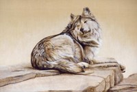 El Lobo Fine Art Print