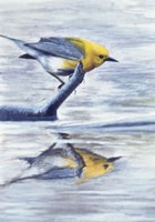 Reflection 2 Fine Art Print