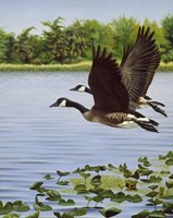 South Bound Journey Fine Art Print