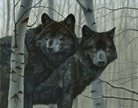 Night Watch Fine Art Print