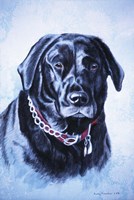 Black Lab Fine Art Print