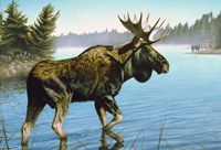 Twig Eater Fine Art Print