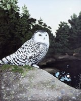 Snowy Fine Art Print