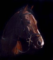 Horse Fine Art Print