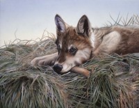 Chewing On It Fine Art Print