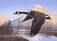 Goose Mtn Fine Art Print