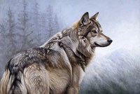 King Of The Hill Fine Art Print