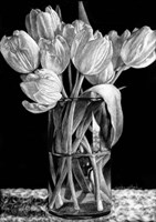 Nine Tulips Fine Art Print