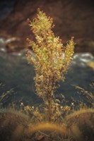 View Point Fine Art Print