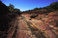 Desert Fine Art Print