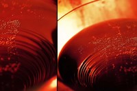 Red Champagne Fine Art Print