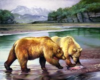 Coastal Grizz Fine Art Print