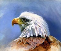 Eagle Portrait Fine Art Print