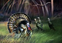 Frost Turkey Fine Art Print