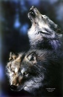 Moonlight Serenade Fine Art Print