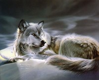 Resting Place Fine Art Print