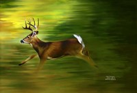Running Deer Fine Art Print